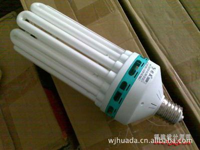 【【供应】朗宇三基色节能灯具 pbt塑件/U型荧光灯管】价格,厂家,图片,节能灯,常州市亦普照明电器-