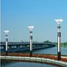  中山崟谷彩灯厂 主营 圣诞灯,节日灯,圣诞