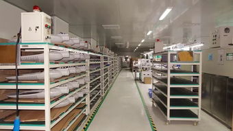 响应一带一路倡议，灯具塑件企业积极拓展海外市场