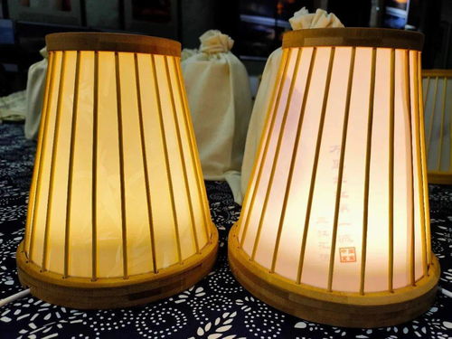 宜宾造智能竹灯发布 科技文创产品新玩法，灯具塑件引领未来